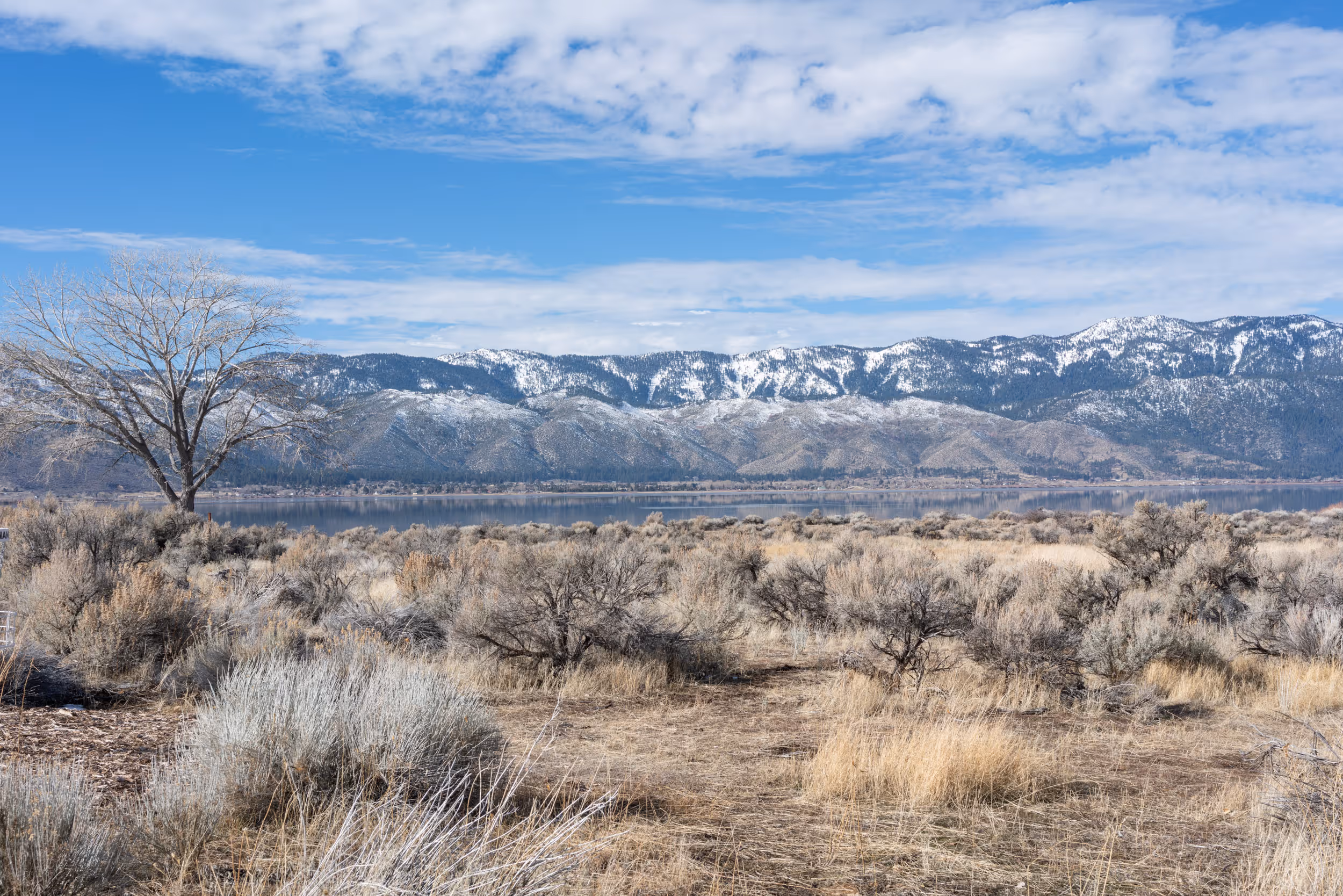Washoe Lake State Park, NV. 2026.