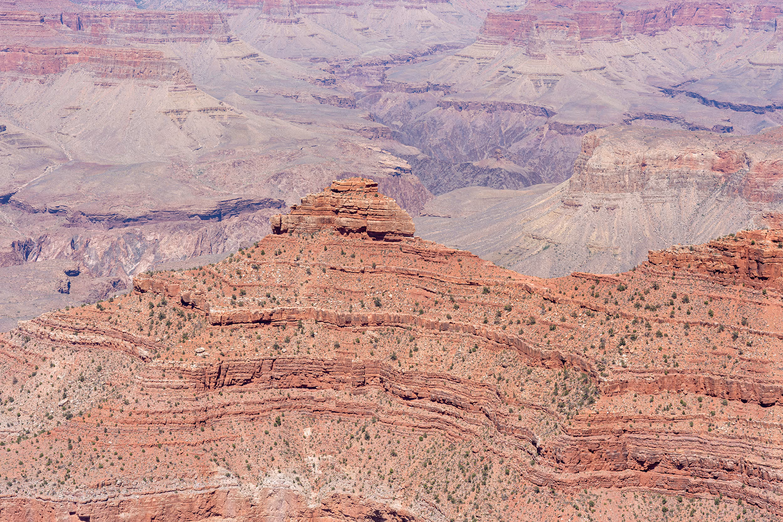 Grand Canyon, AZ. 2025.