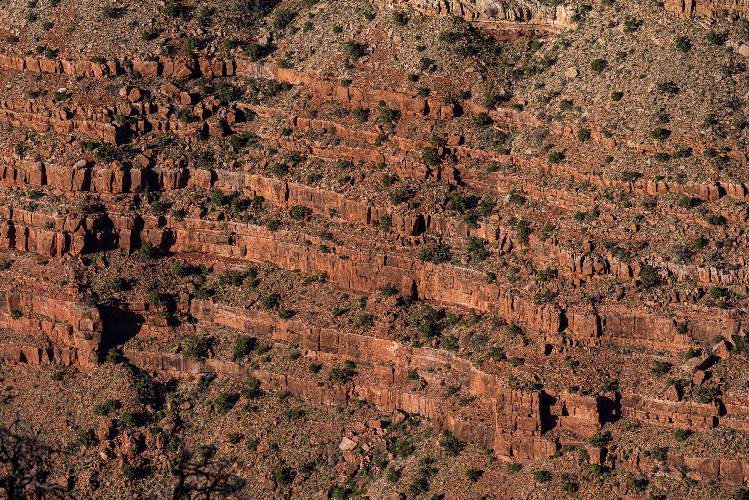 Grand Canyon, AZ. 2025.