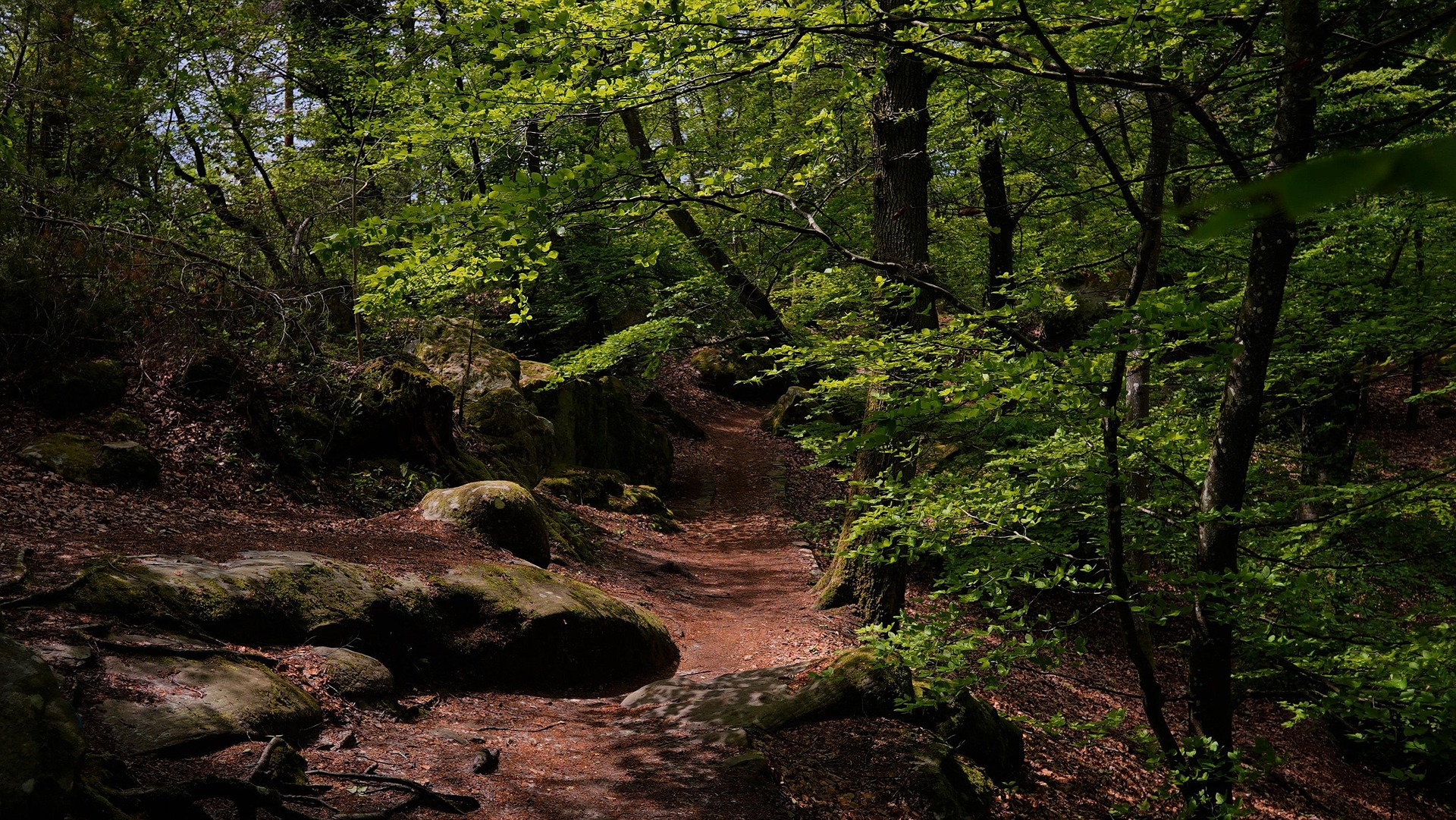 location saisonnière Fontainebleau - forêt de Fontainebleau rochers grès randonnée bouldering