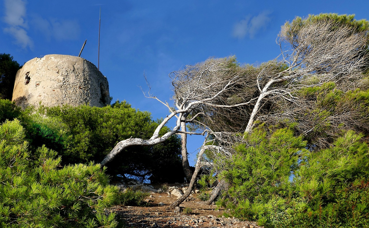 Tour médiévale et paysage de Sanary-sur-Mer en Provence — location saisonnière Var