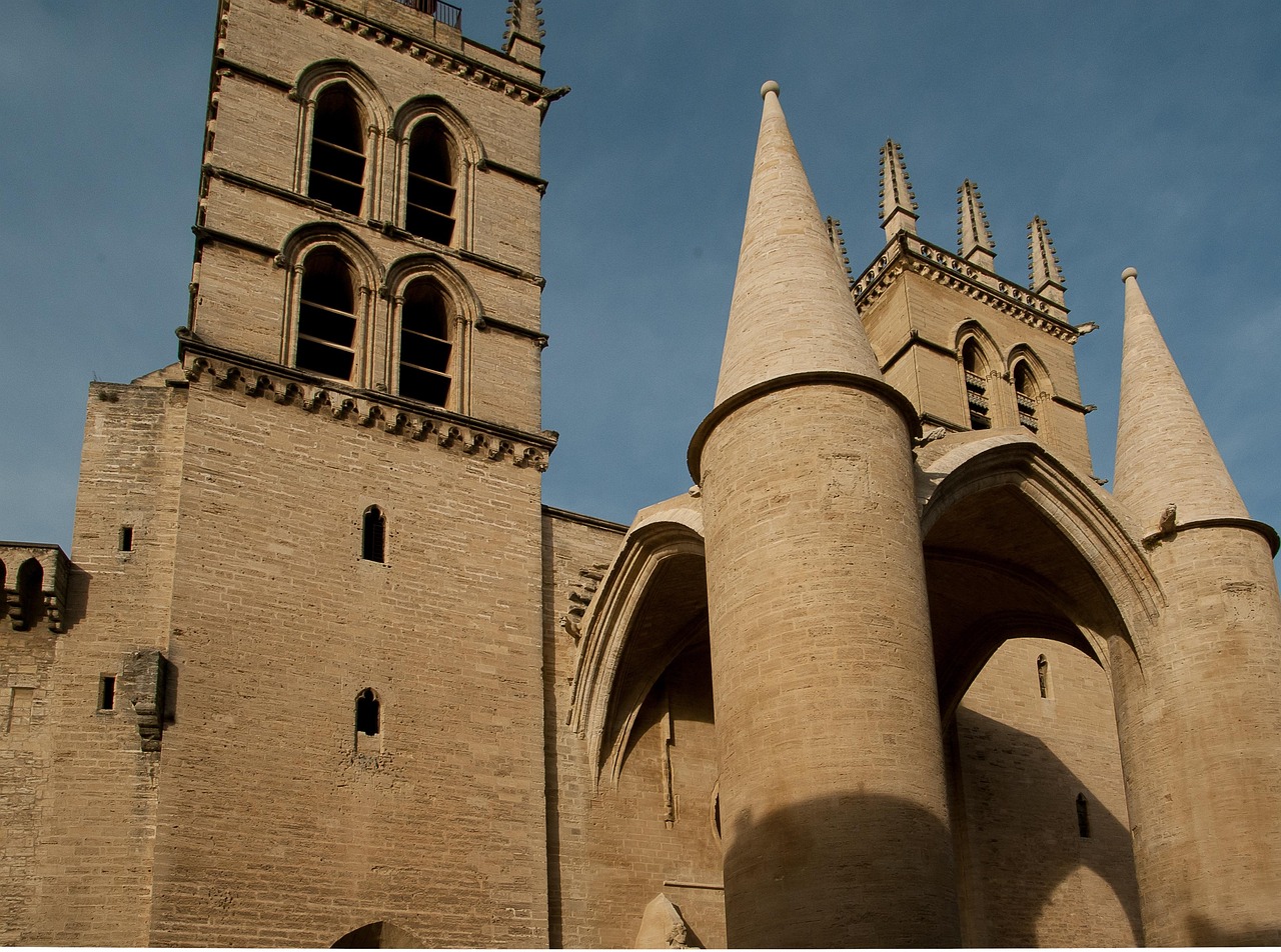 Cathédrale Saint-Pierre de Montpellier, patrimoine gothique du centre-ville — Airbnb