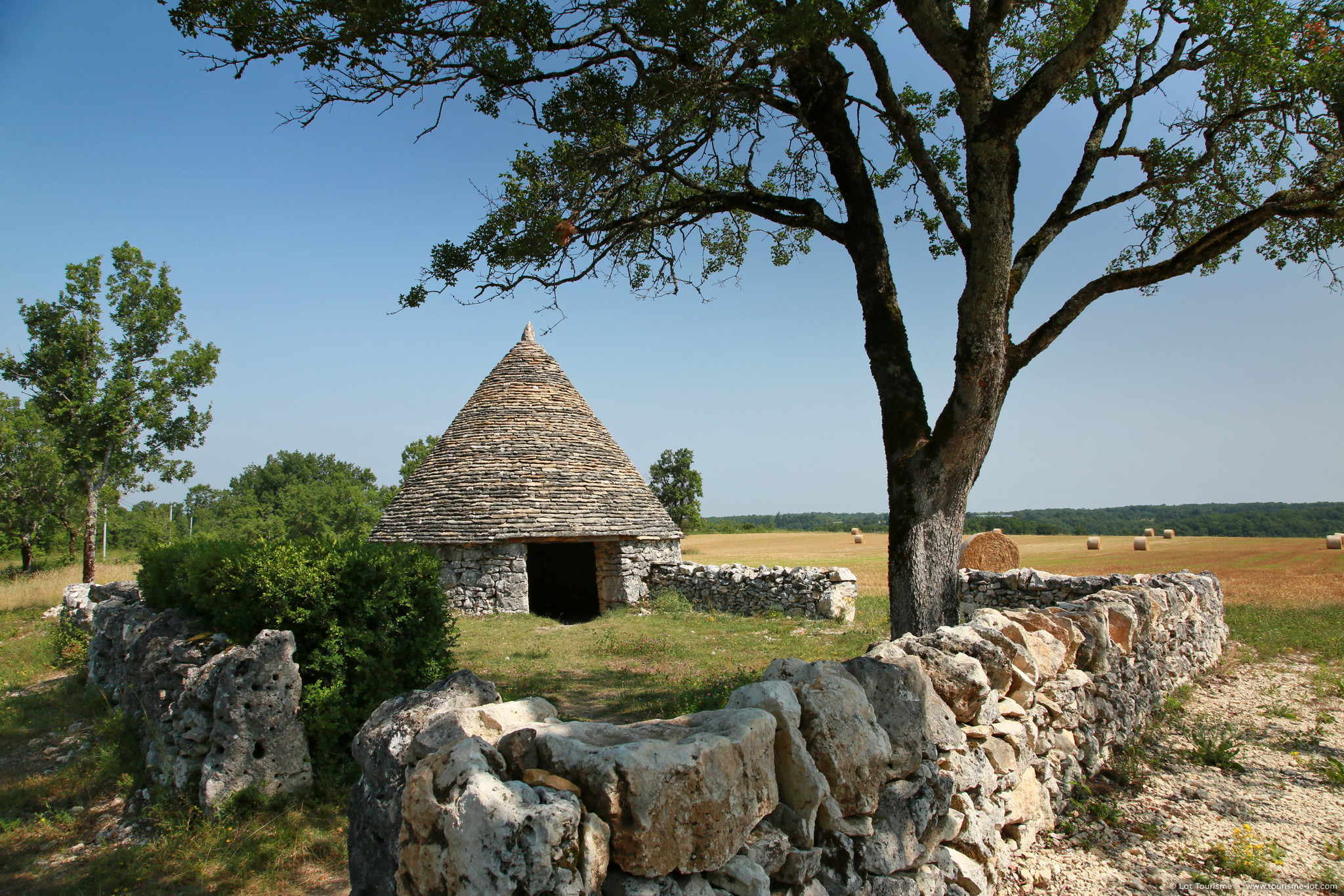 Truffes noires du Quercy, diamant noir des causses de Lalbenque dans le Lot — location saisonnière Lalbenque Quercy