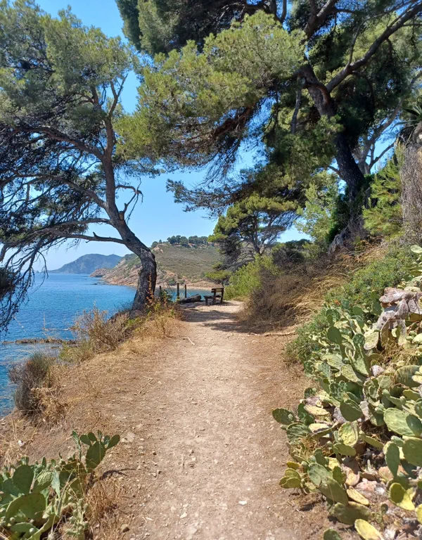 Sentier du littoral de Saint-Mandrier-sur-Mer entre pinèdes et falaises avec vue sur la rade de Toulon — gestion locative location courte durée Var