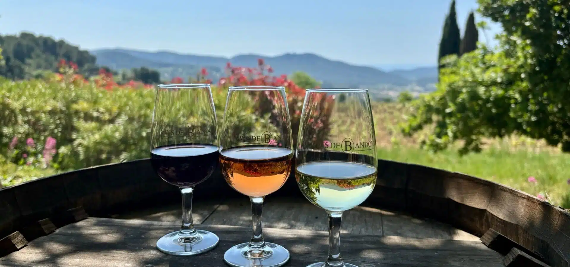 Dégustation de vins AOC Bandol dans les caves d'un domaine viticole au pied du Castellet — conciergerie Airbnb Var