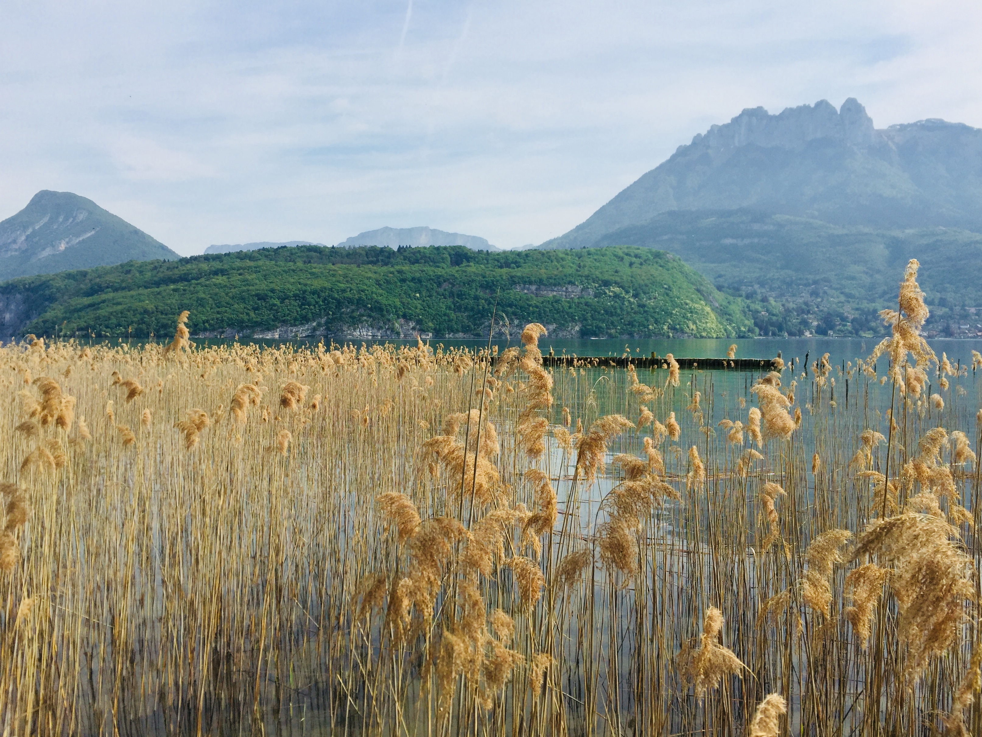 Sentier des Roselières et zone naturelle protégée au bord du lac d'Annecy à Saint-Jorioz — gestion locative location courte durée Annecy