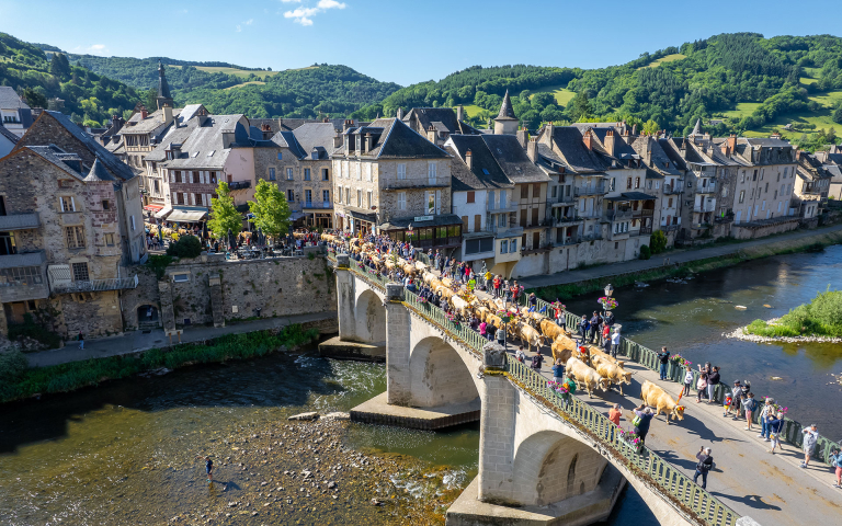 Troupeau de vaches Aubrac lors de la Fête de la Transhumance traversant Saint-Geniez-d'Olt en mai — gestion locative location courte durée Aveyron