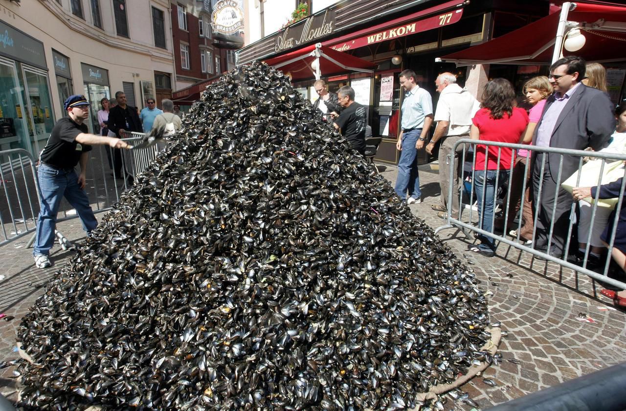 Braderie de Lille, plus grand vide-greniers d'Europe chaque septembre avec ses millions de visiteurs — conciergerie Airbnb Lille Hauts-de-France