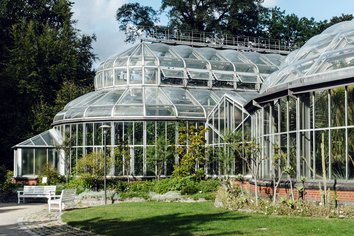 Jardin botanique de Tourcoing, serres pédagogiques et glycines centenaires, poumon vert de la cité textile — gestion locative Airbnb Nord