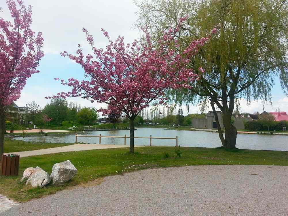 Parc Naturel Urbain de Lomme, étang et espaces verts en plein cœur de la métropole lilloise — location saisonnière Lomme Lille