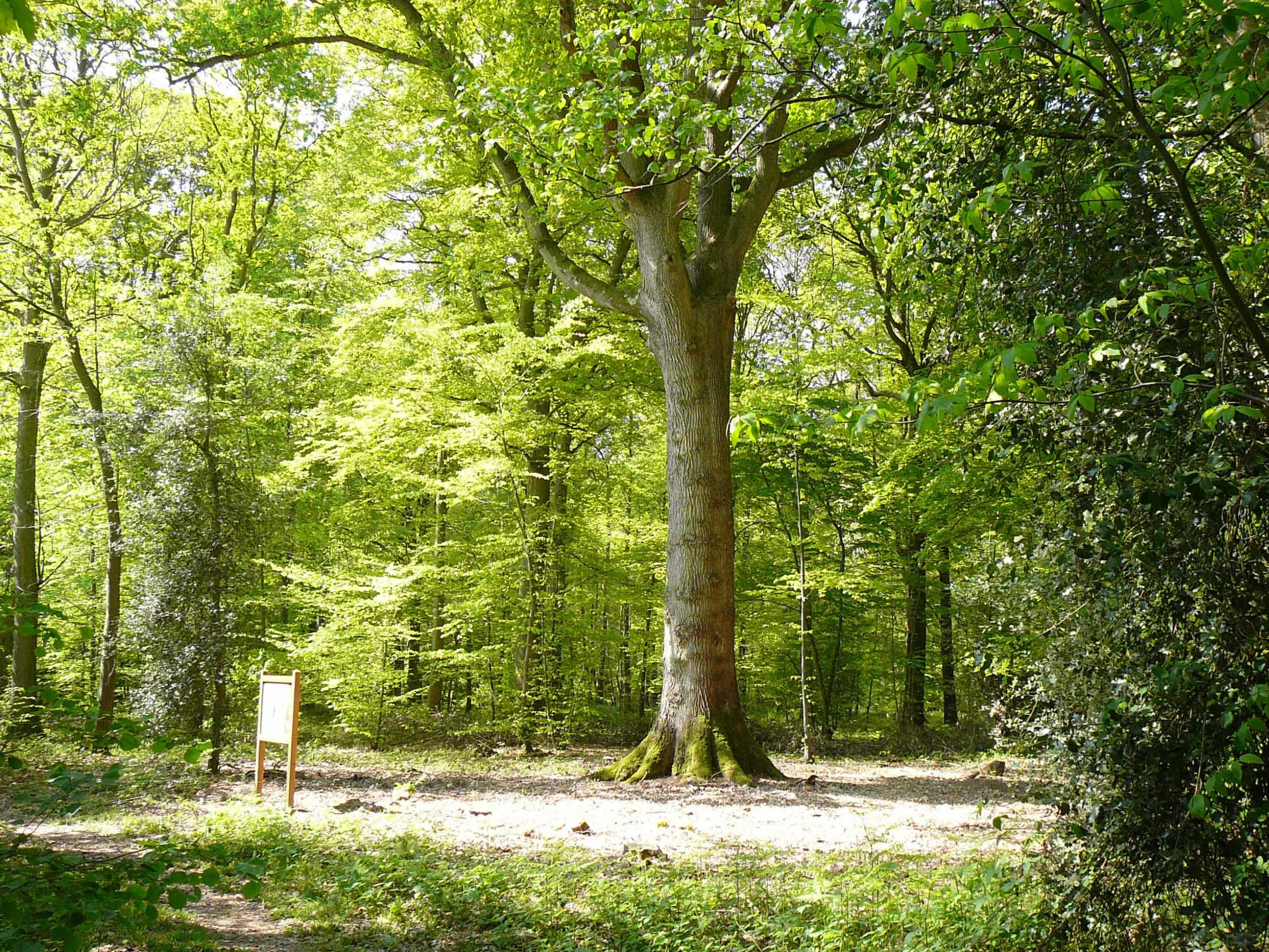 Rivière Risle et forêt domaniale de L'Aigle à Saint-Sulpice-sur-Risle, Pays d'Ouche normand préservé — location courte durée Normandie