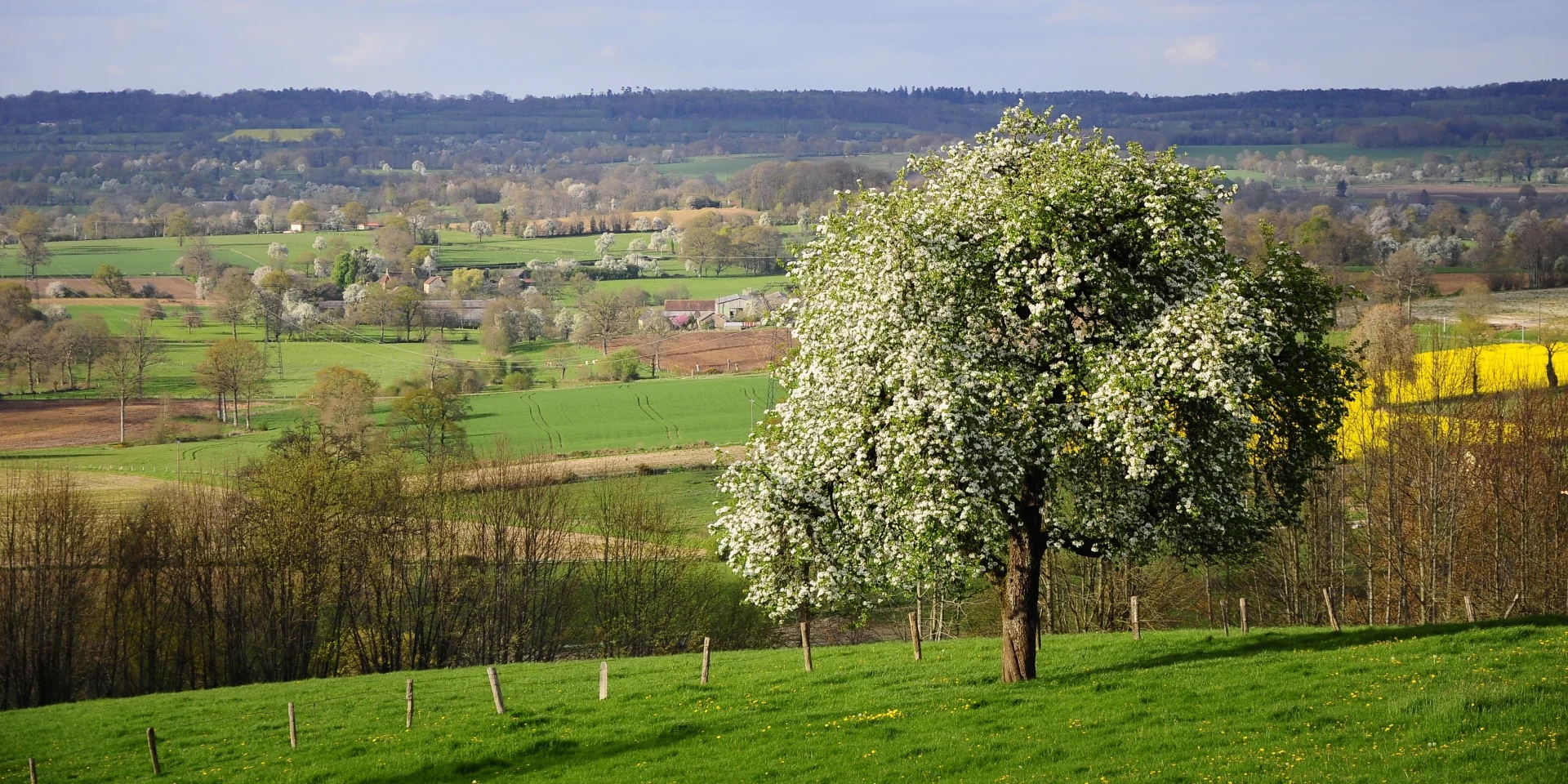 Paysage de bocage normand et prairie verdoyante en Pays d'Ouche autour de Saint-Sulpice-sur-Risle — location saisonnière Airbnb Normandie