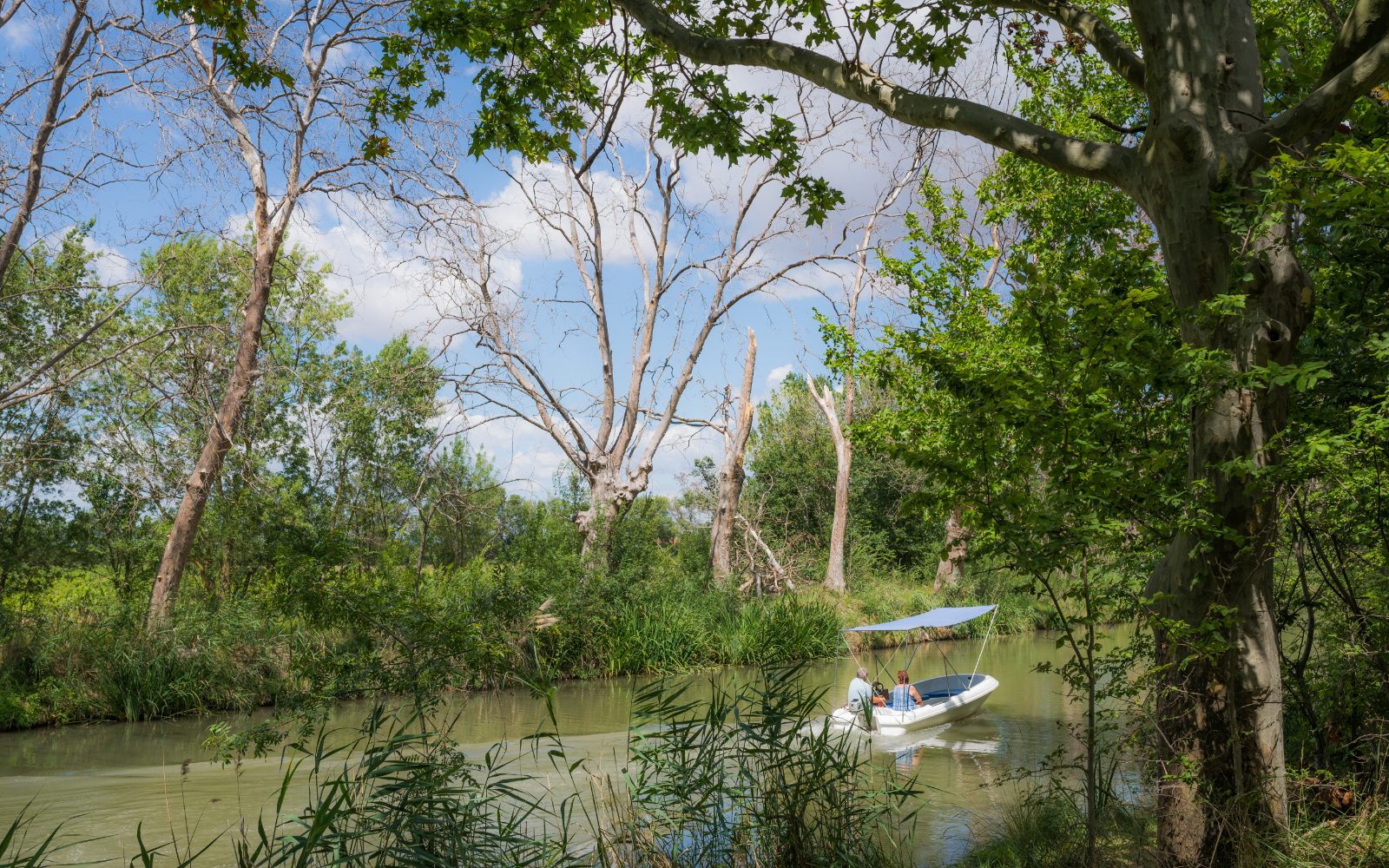 Bateau sur le canal du Midi à Agde — location courte durée Hérault