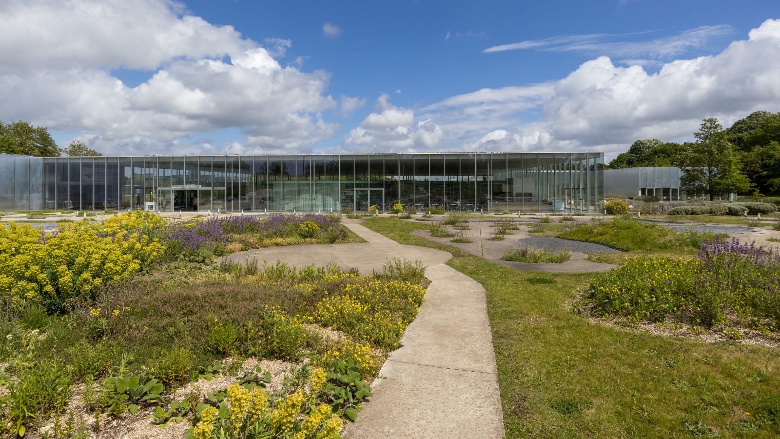 Musée du Louvre-Lens et son architecture de verre et d'aluminium — conciergerie Airbnb Lens