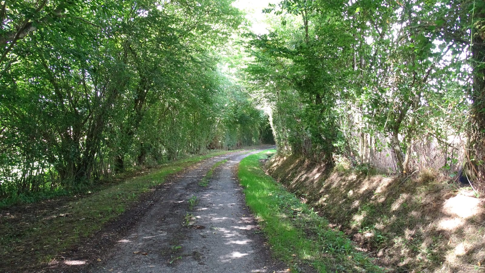 Chemin de campagne dans le bocage normand — location courte durée Normandie