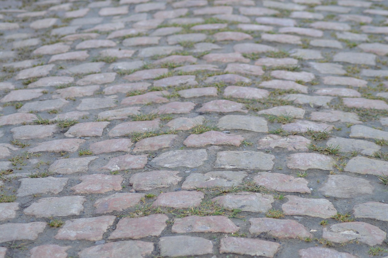 Pavés typiques des secteurs de la course Paris-Roubaix — gestion locative Roubaix