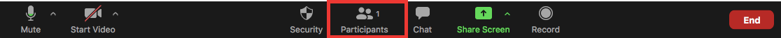 Zoom settings with "Participants" highlighted