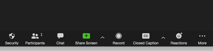 Share Screen Zoom