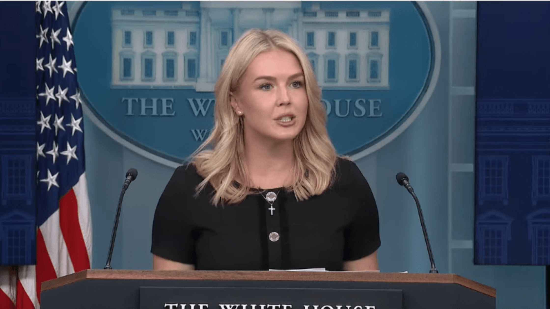 Karoline Leavitt speaks and gestures to the press.