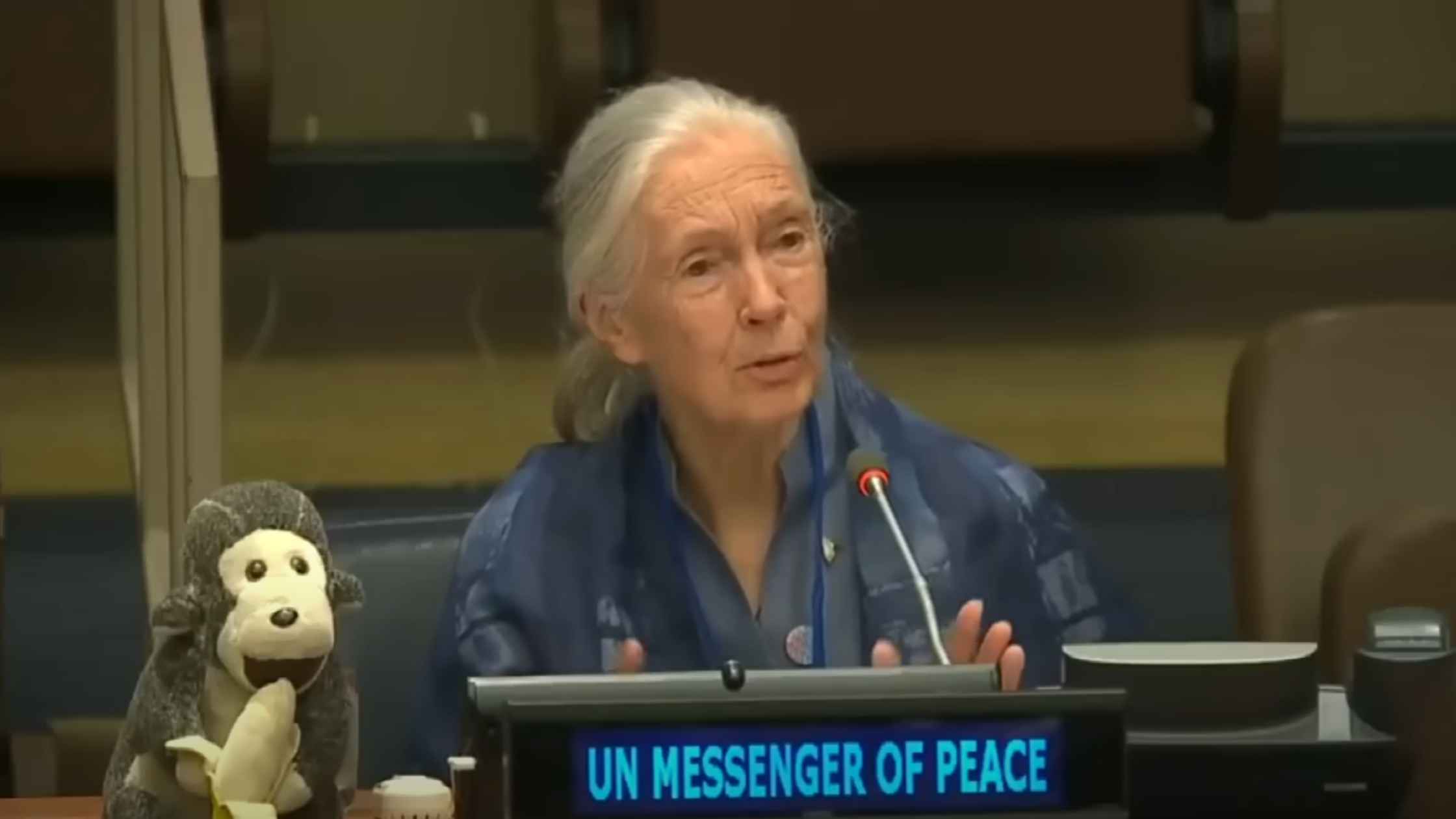 Remembering Jane Goodall