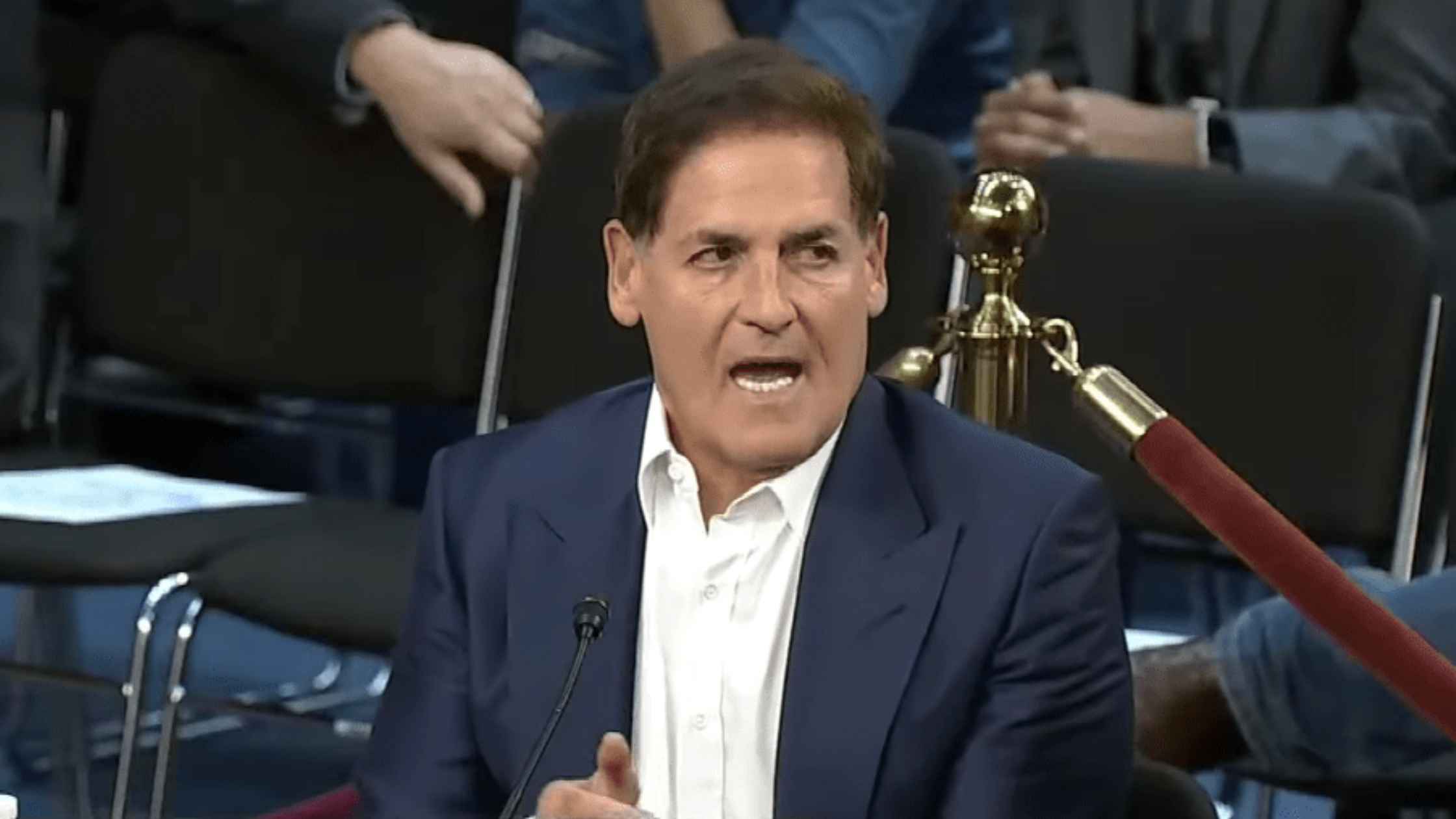 Mark Cuban speaks to Senate.
