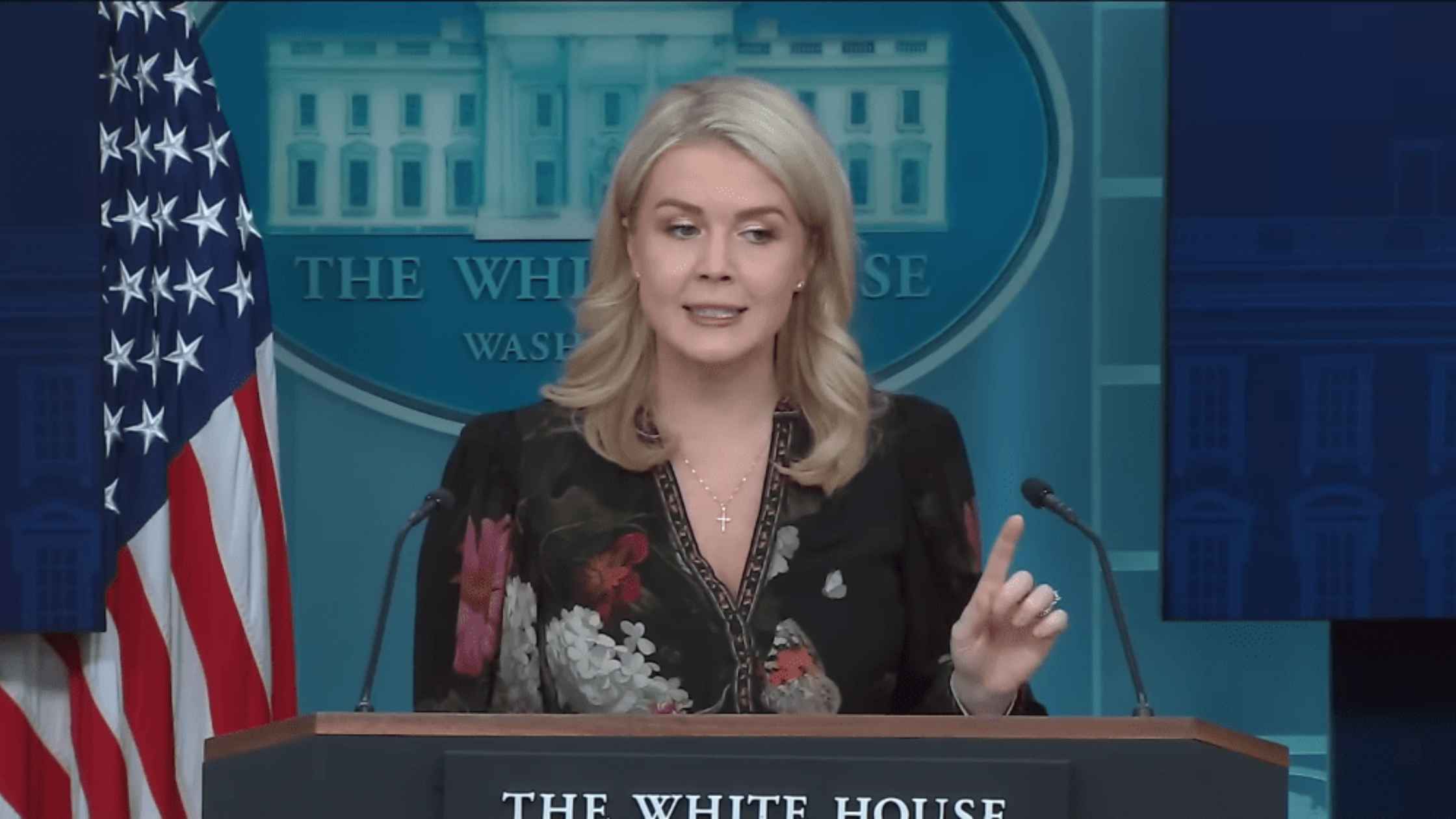 Karoline Leavitt White House Press Briefing on 11/04/25