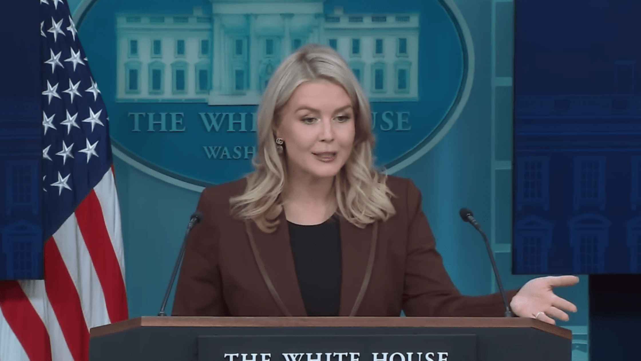 Karoline Leavitt speaks and gestures to the press.