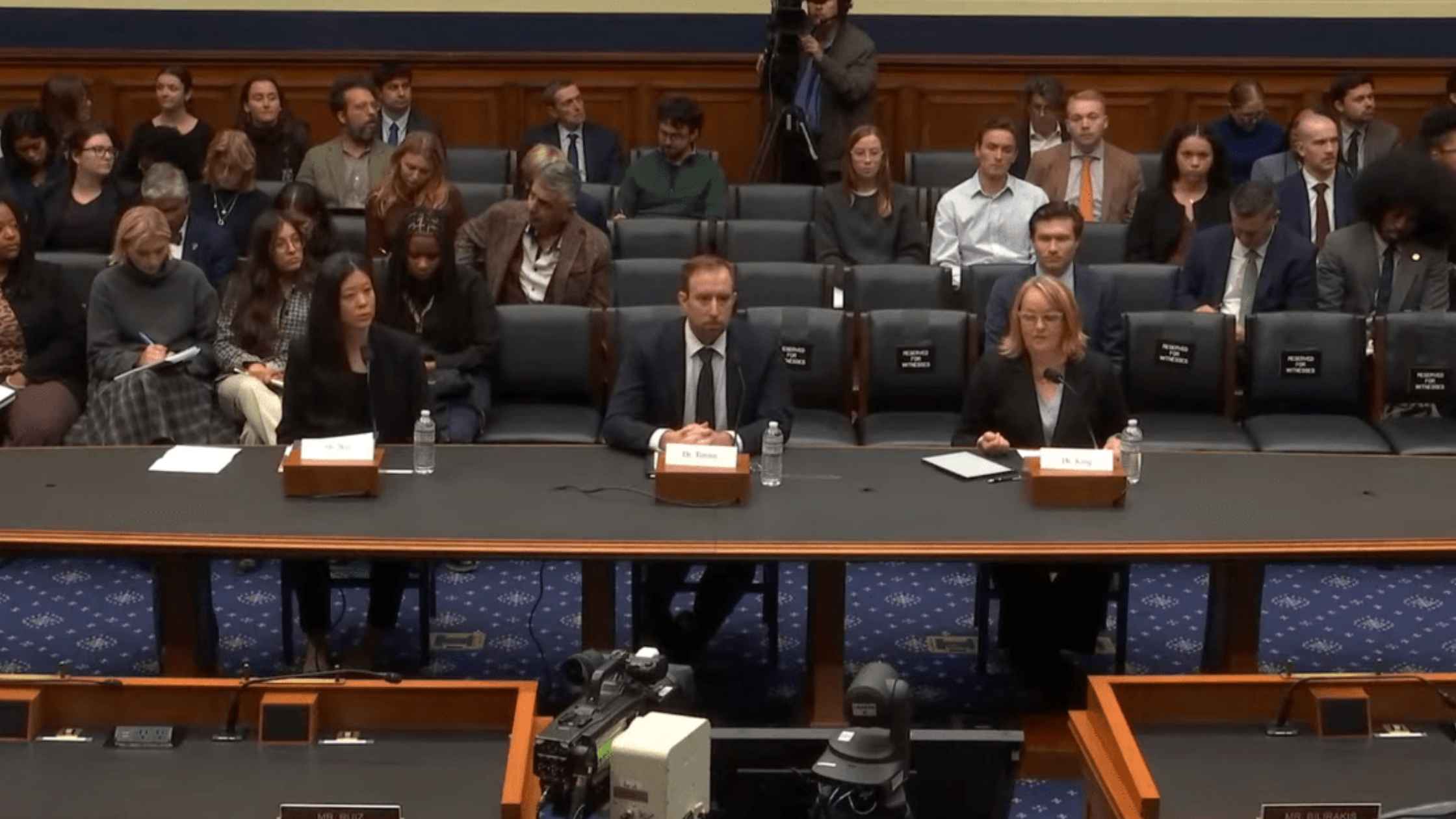 Chatbot Congressional Hearing