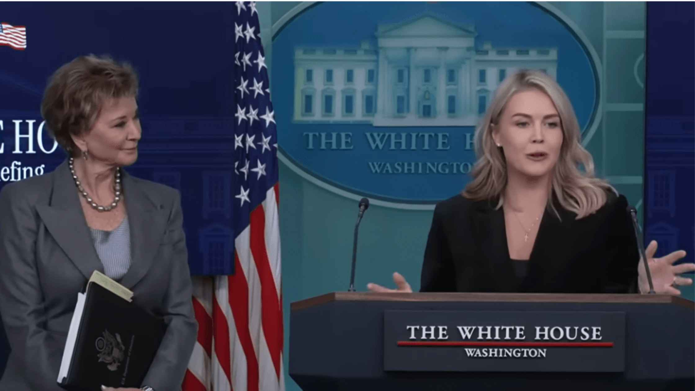 Karoline Leavitt speaks and gestures to the press.