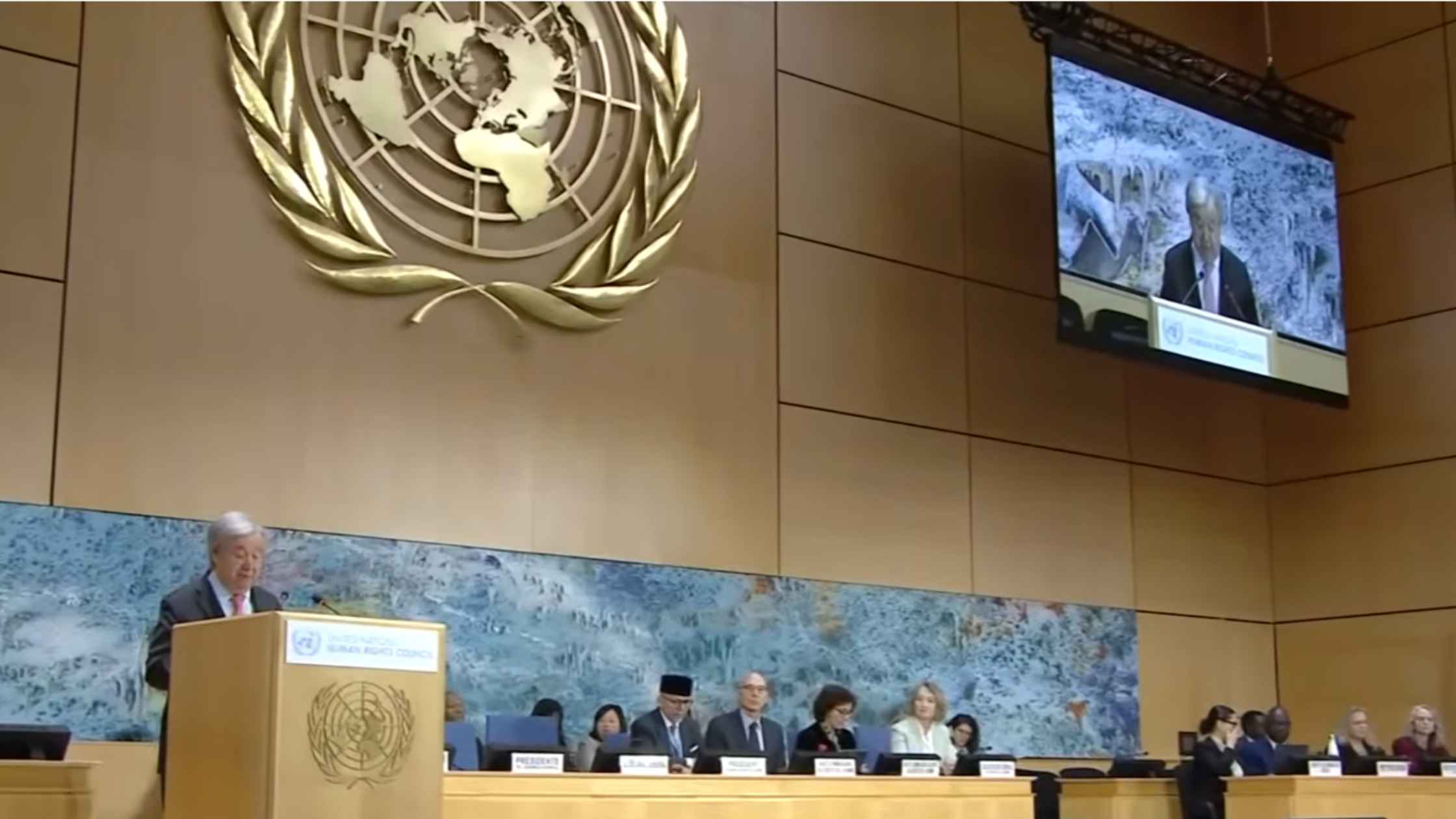 United Nations Human Rights Council