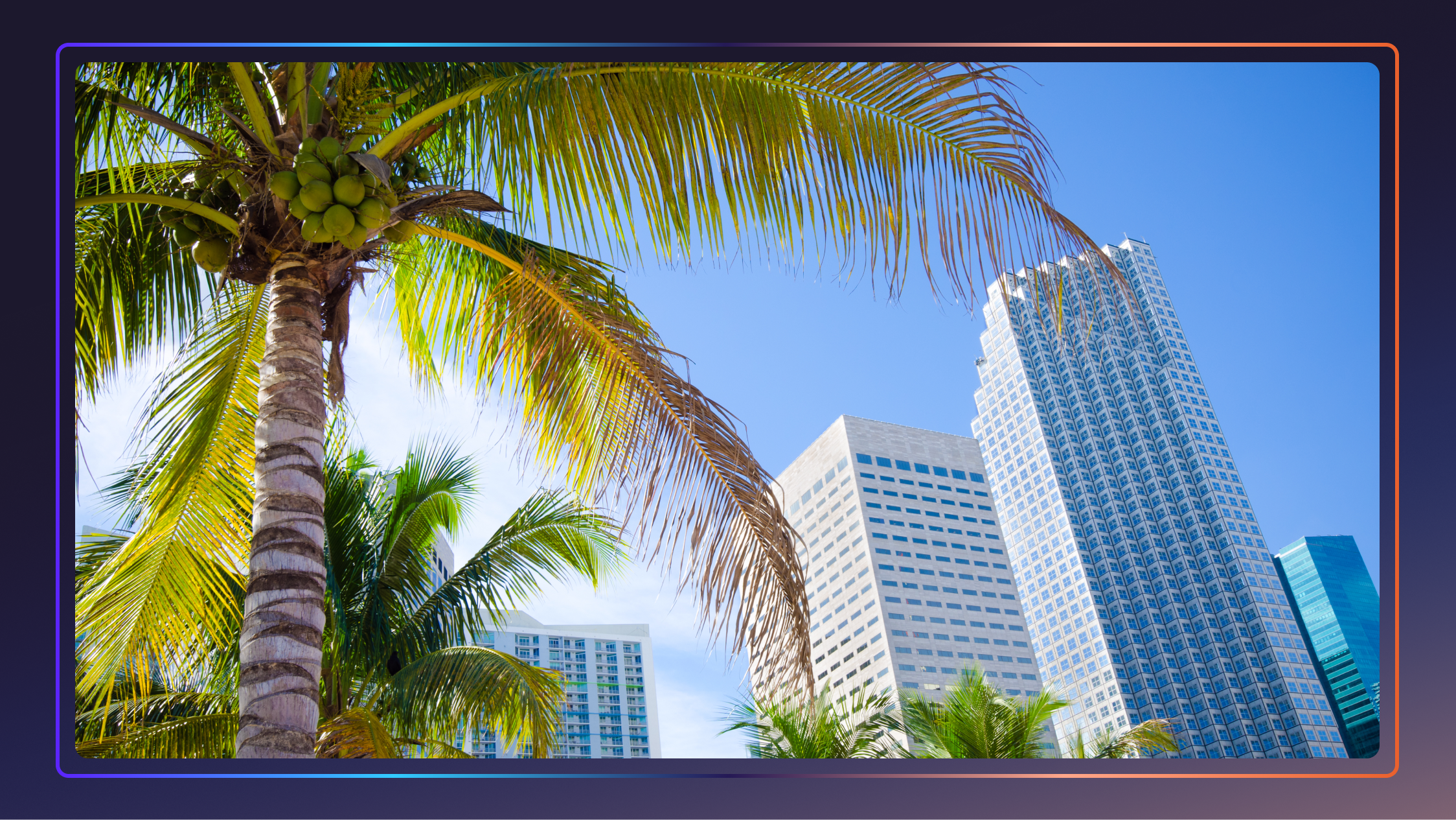 A palm tree with coconuts at the top stands in front of several tall buildings and a cloudless blue sky.