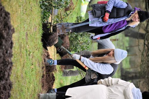 TTC corporate group tree planting
