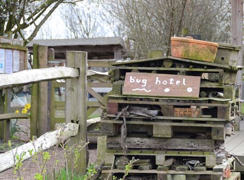Fordhall's large bug hotel