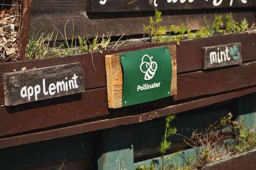 Braille trail sign affixed to planted in community garden. Sign shows the raised shape of a bee, the word bee, and the braille for bee.