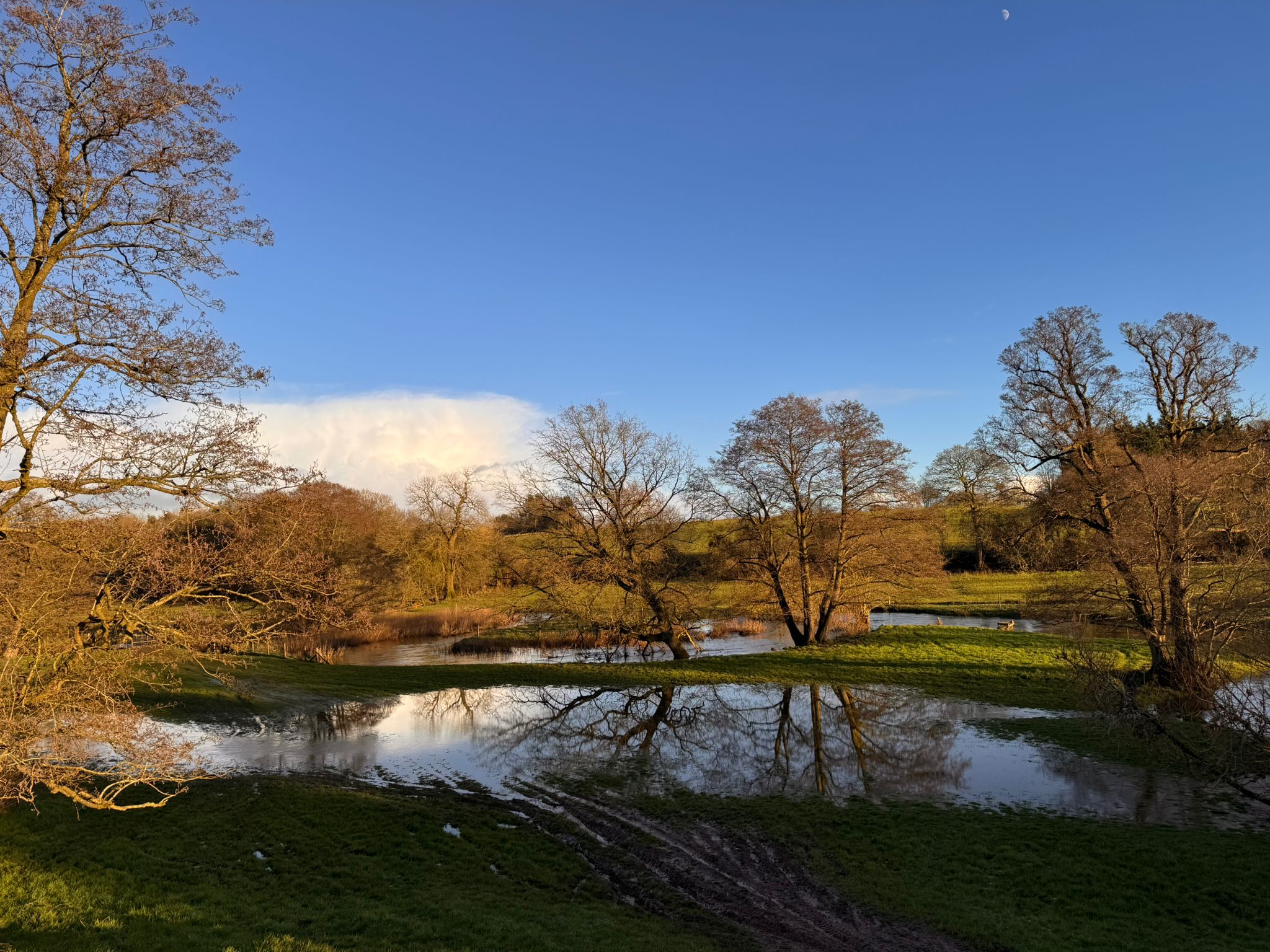 Fordhall Organic Farm Nature spotting
