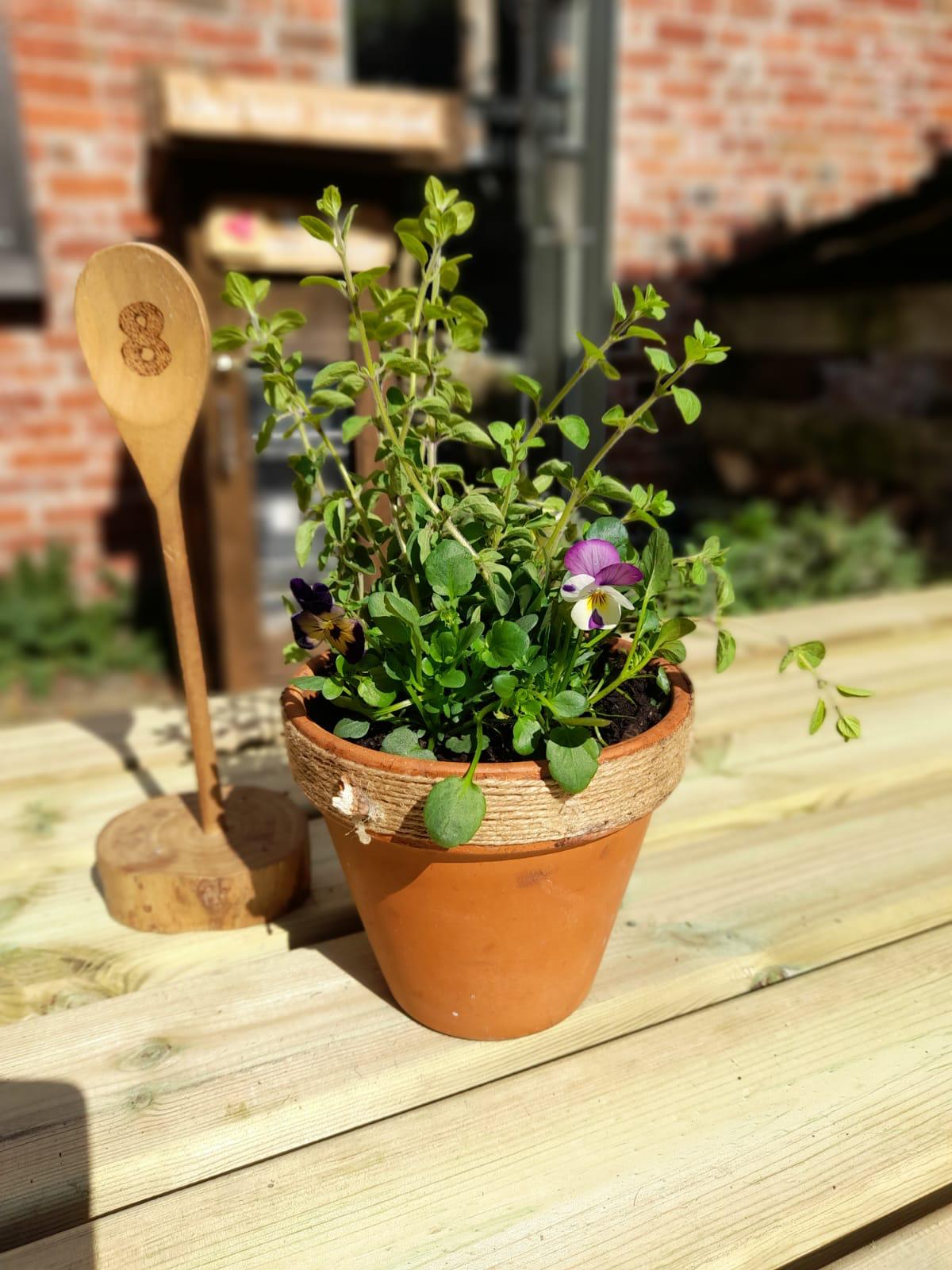 Plant outside athurs