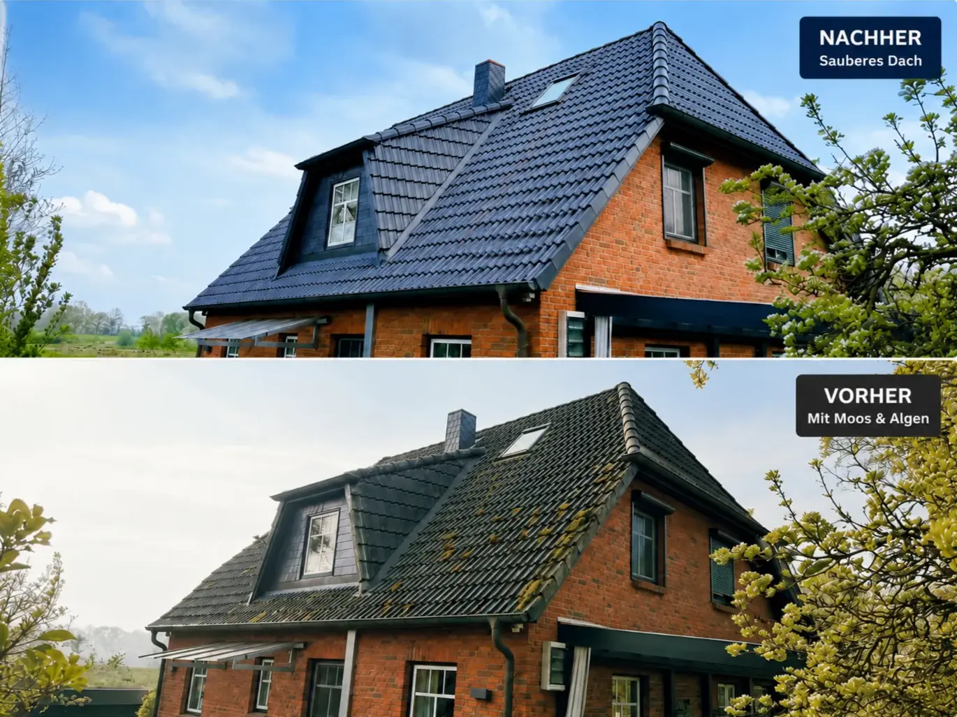 Vergleich eines Hauses: Dach vor der Reinigung mit Moos und Algen, nachher sauber und blitzblank.