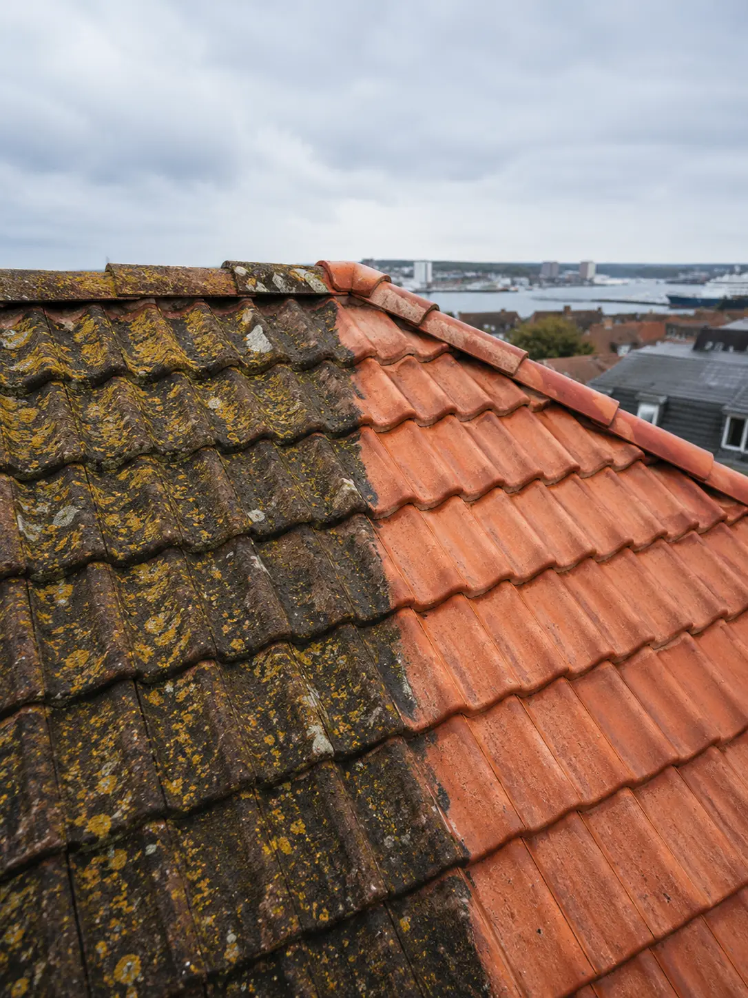 Vorher-Nachher-Vergleich einer Dachreinigung in Kiel mit verschmutztem und gereinigtem Ziegeldach an der Kieler Förde