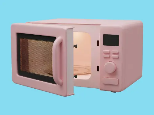 Different Types of Ovens: Choose the Right Oven Type