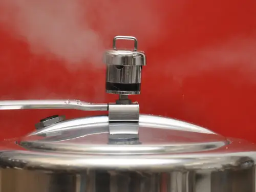 Best Pressure Cooker 2026: Types and Reviews