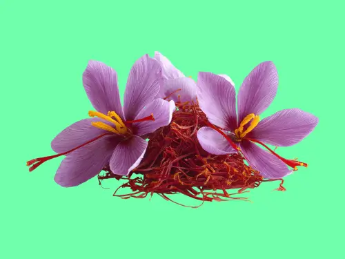 Rare Spices Every Home Cook and Host Should Know About