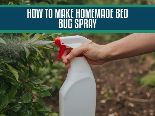 How to Make Homemade Bed Bug Spray: A Natural Solution to Get Rid of Bed Bugs and Control Pests