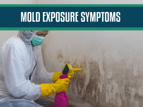 Mold Exposure Symptoms: Identifying the Effects of Black Mold on Your Health