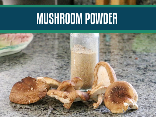 Reishi Mushroom Powder: Unlocking the Power of Nature's Healing Elixir