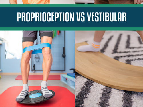 Proprioception vs Vestibular: Understanding the Body’s Hidden Senses