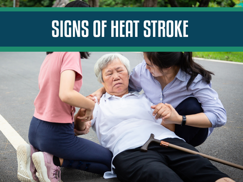 Recognizing Signs of Heat Exhaustion and Heat Stroke: The Symptoms and Causes of Heat-Related Illnesses