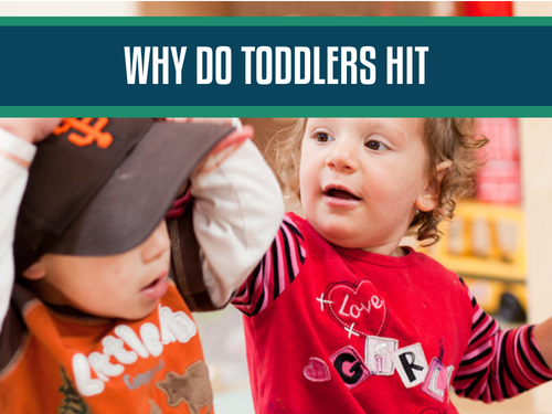 Toddler Hitting and Biting: Is Aggressive Behavior Normal for Toddlers?