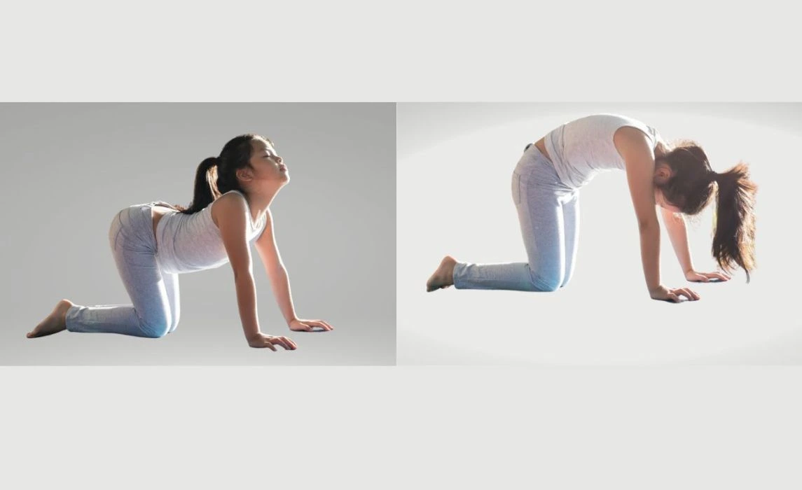Cat-Cow Pose