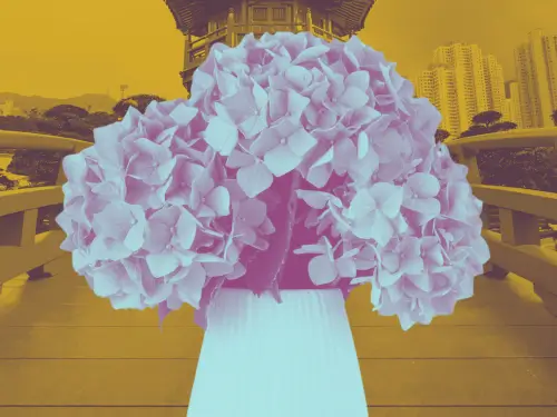 Best Hong Kong Flower Shop | Flower Delivery & Gifts
