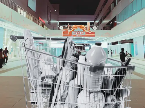 Best Grocery Stores in South Korea: Top Supermarkets to Visit in Seoul